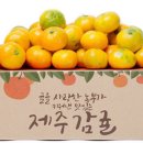 감동몰