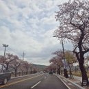 제이노래방 - 동구 진성로9번길 10 | [경주 숙소 추천] 프라이빗 제이 B동 독채 숙소 후기 / 아이 셋 포함 대가족 여행♥
