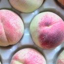 케이비농장 이미지