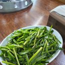 감골오리향 이미지