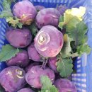 건우 농장 이미지