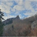 수출대로-4 이미지