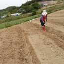 땅끝농장 이미지