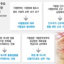 피자빙고 이미지