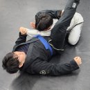 대일 합기도 체육관 이미지