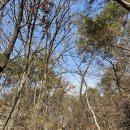 경기둘레길 포천15코스 이미지