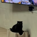 한국지엠진천바로서비스 | [9월 일상2] 한국에서도 뚜벅이는 동번서번