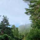 영양에코둥지 이미지