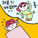 모찌에프앤지 | 다이어트 식사대용 비움 클렌즈주스 디톡스해독주스