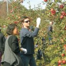 농촌문화체험민박 이미지