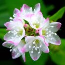 산하소소 이미지