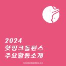 2024 핫핑크돌핀스 주요 활동을 소개합니다 이미지