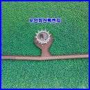 카페보스전남무안점 | [전남 꽃구경] 7월 전남 여행지 무안 회산백련지...수련·백련 풍경과 전망대 카페 후기 (무안 가볼만한곳)