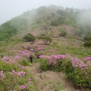 만어산장 산악회 제350차 전남 보성 일림 제암산 산행안내 5월7일(목요일) 이미지