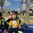 [체험활동] 🌞강진 갈대밭 축제🌾 이미지