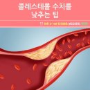 ♡ 콜레스테롤 수치를 낮추는 팁 ♡ 이미지