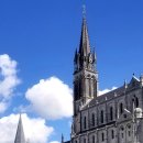 싱그런건강누리 이미지