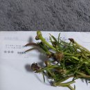 연님농장 이미지