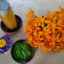 포항시북구치매안심센터 | 포항시북구치매안심센터 경증치매어르신 치유농업프로그램 5회기를 마치며(긍정심리이론 적용 치유농업...