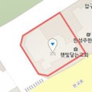미플랜치과의원 티스토리