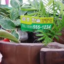 워니공인중개사사무소 이미지