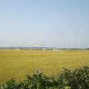 황금뜰농장 이미지