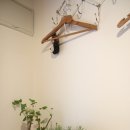 나무사이에 자연속으로 이미지