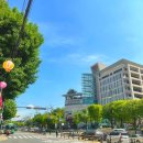 솔가숯불갈비 정읍점 | 정읍 갈비 솔가 숯불갈비 – 여긴 왜 다들 추천하는지 알겠음