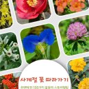 사계절꽃 - 서구 가정로 323 | 사계절꽃