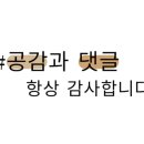 일등가 정관점 이미지