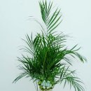 배방읍 모산로 이미지