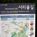 서리풀길 35 이미지