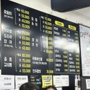 수성수산 | 대구 수성구 방어회 맛집 불로회수산 내돈내산 솔직후기