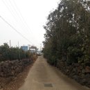 무릉리-5 이미지