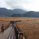 순천만습지 이미지