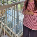 문선(MOONSUN) | 문선 MOONSUN | 스트라이프 피케 카라티셔츠 PINK 사이즈 후기 | 내돈내산