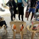 보홀 4박5일 자유여행 일정 코스 추천 | Day2(보홀호핑투어업체, 보홀고발투어, 고래상어, 보홀맛집)