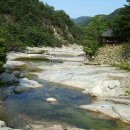 2020-주145 Daum카페