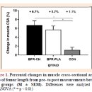 MUSCLE FLOW 이미지