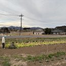 예진가족농장 | 유기농, 적정 규모의 유기적 연결