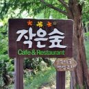 작은 숲