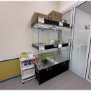 강아지와 고양이 이미지