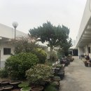 칠성상가시장 이미지