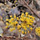 도사보건진료소 이미지