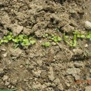 가덕농장 이미지