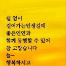 콩보리네 이미지