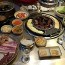 신부산갈매기 이미지