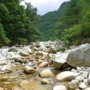 백운산 도마치계곡 산행 초복맞이 몸보신 물놀이 산행 이미지