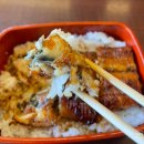 P-5720 | 일본 후쿠오카 장어덮밥 맛집 요시즈카 우나기야 웨이팅 우나기동 우나쥬 예약없이 방문