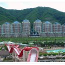 소노펠리체 이미지